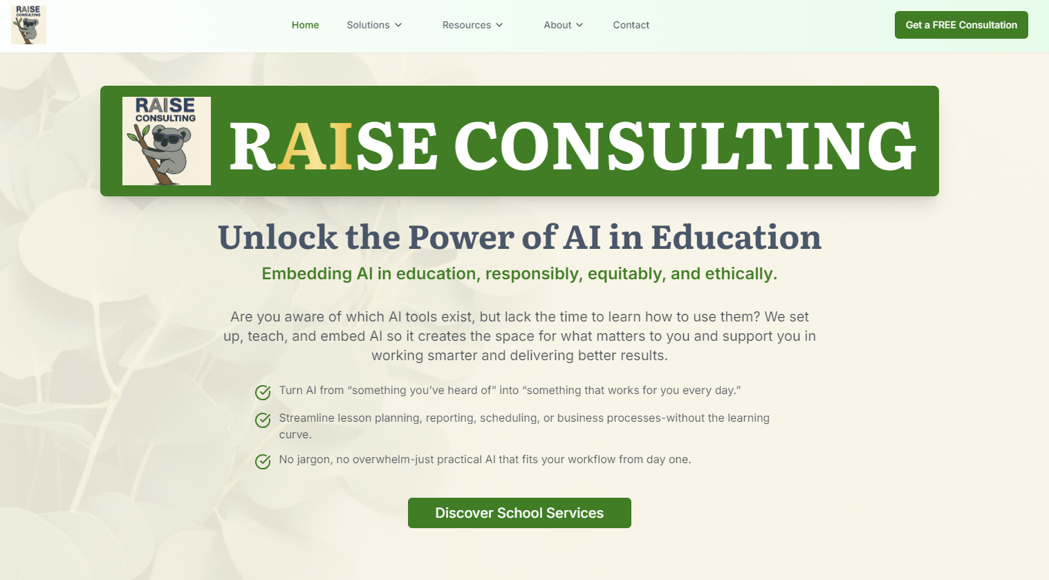 A screenshot of the old RAISE Consulting website.